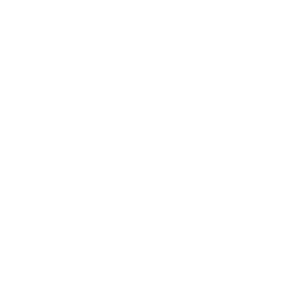 Wise Monke Studio Logo